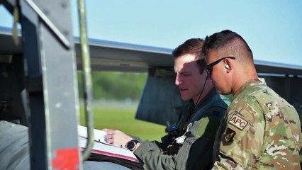 moose outside Eielson Air Base, Alaska