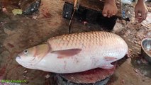 Amazing Cutting Skills | Giant Carp Fish Cleaning | Cutting By Expert Fish Cutter