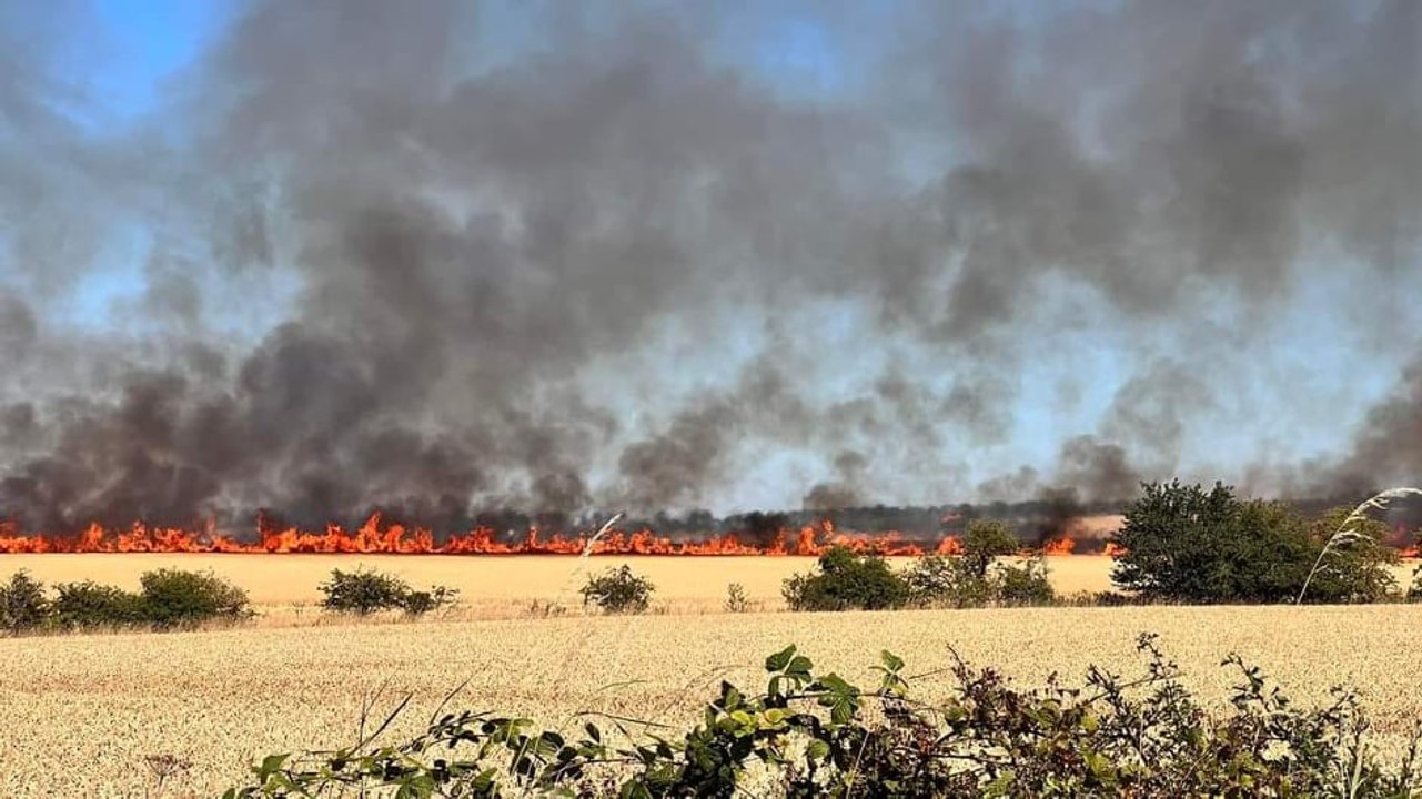 Firefighters continue to tackle a large grass fire which broke out in West Lothian three days ago.