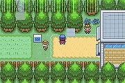 Pokemon Shining Opal online multiplayer - gba