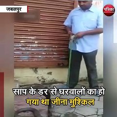 जबलपुर : इंसानों के घर में सांप का कब्जा !