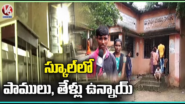 Special Report : Govt School Buildings In Danger Zone , Students Facing Problems| Adilabad | V6 News