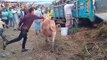 My First Cow Vlogs | Cow unloading in haat | Cow unloading 2022 | cow unloading video