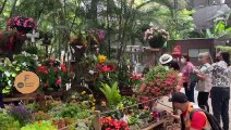 Fin de semana de “Florecer” exposición de orquídeas y artesanías en el Jardín Botánico-3