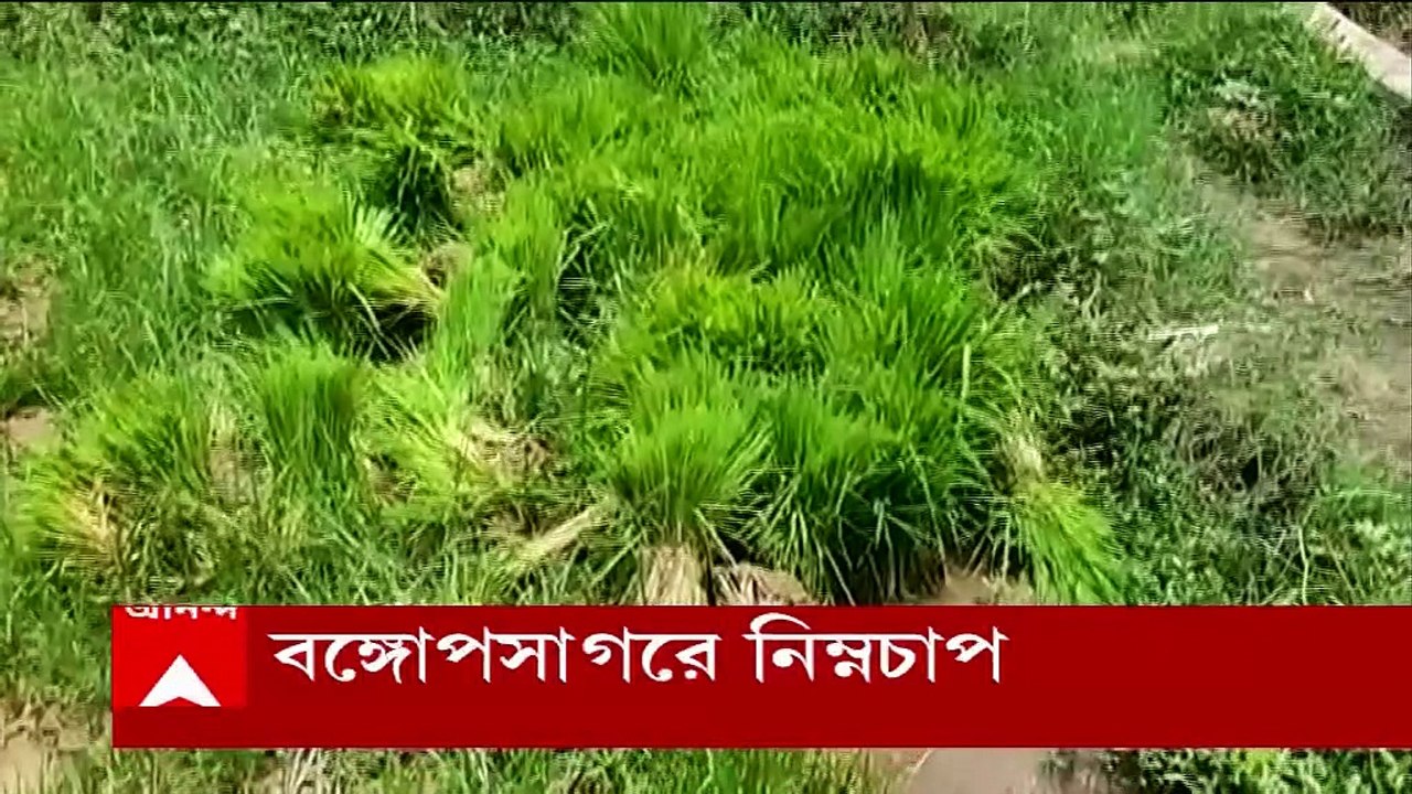 Weather Update: ফের নিম্নচাপ, উপকূলবর্তী ও পশ্চিমাঞ্চলের জেলাগুলিতে ভারী বৃষ্টির পূর্বাভাস
