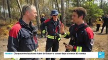 Bomberos alemanes ayudan a extinguir los incendios forestales en Francia