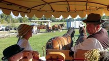 Journée à l'ancienne en calèche Le Cailar