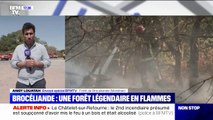 Incendie dans la forêt de Brocéliande: le feu est contenu