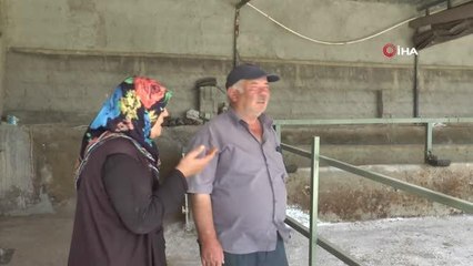 15 gün önce sabah yemledikleri hayvanlarını telef olmuş buldular