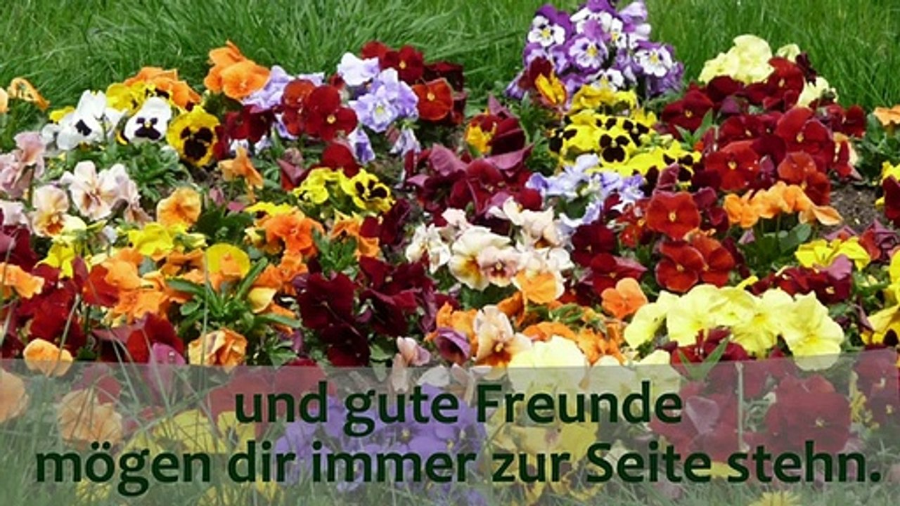 Der HERR segne Dich !