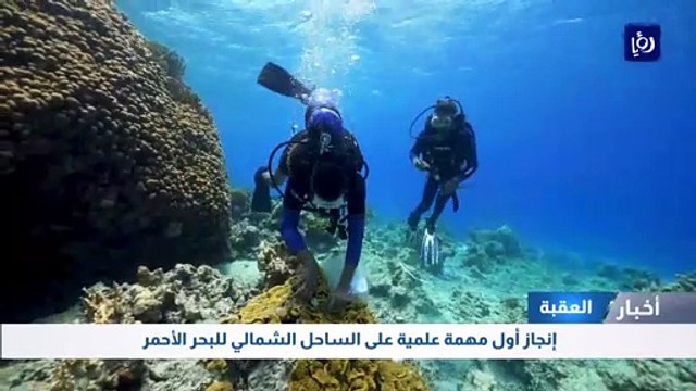إنجاز أول مهمة علمية على الساحل الشمالي للبحر الأحمر