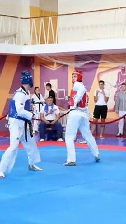 Taekwondo WTF Fight (7)