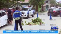 ¡Desgracia! Atropellada perece mujer en col. Felipe Zelaya de SPS
