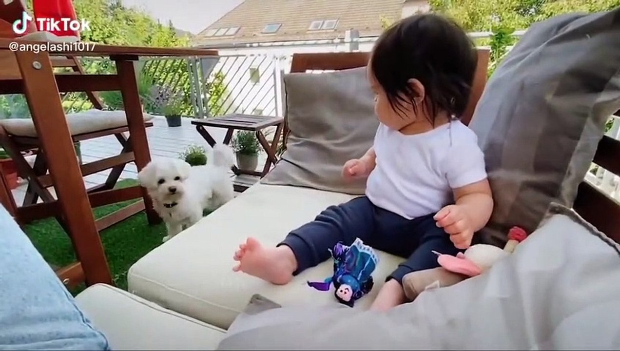 non-stop laughing #16