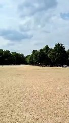 الجفاف يقسو على حديقة هايد بارك لندن ويحولها إلى صحراء جرداء - بريطانيا - البيان_القارئ_دا