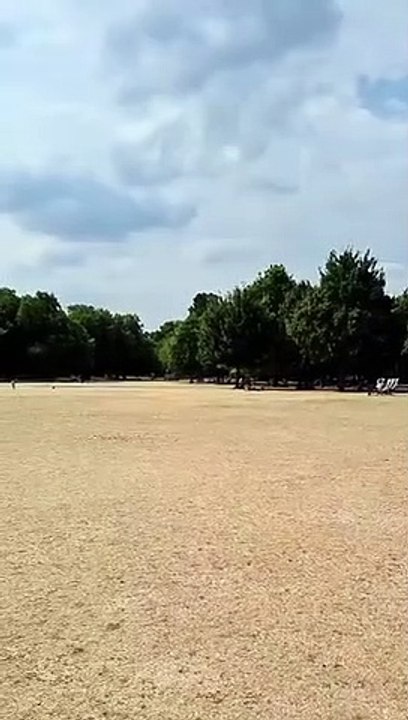 الجفاف يقسو على حديقة هايد بارك لندن ويحولها إلى صحراء جرداء - بريطانيا - البيان_القارئ_دا