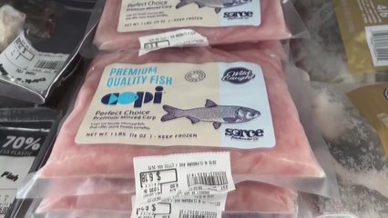 네 이름은 귀여운 '코피'...물리칠수 없다면 먹어치워라 / YTN