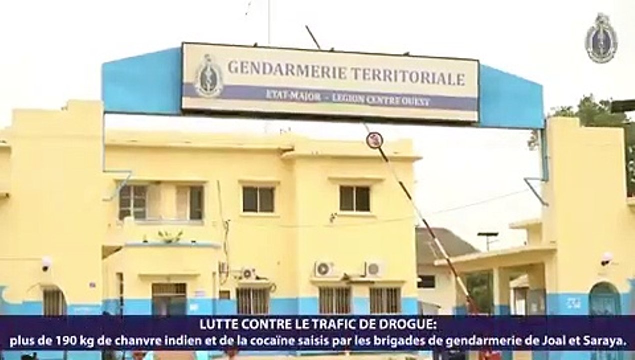 Mbour/Kédougou: La gendarmerie saisit plus de 190 kg de chanvre indien et de la cocaïne