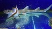 15 Rarest Sharks Hidden In The Ocean