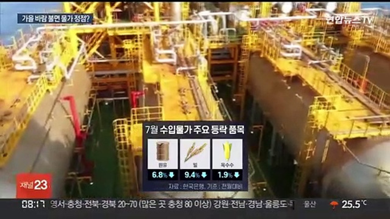 물가 '10월 정점' 기대감…관건은 코로나·전쟁