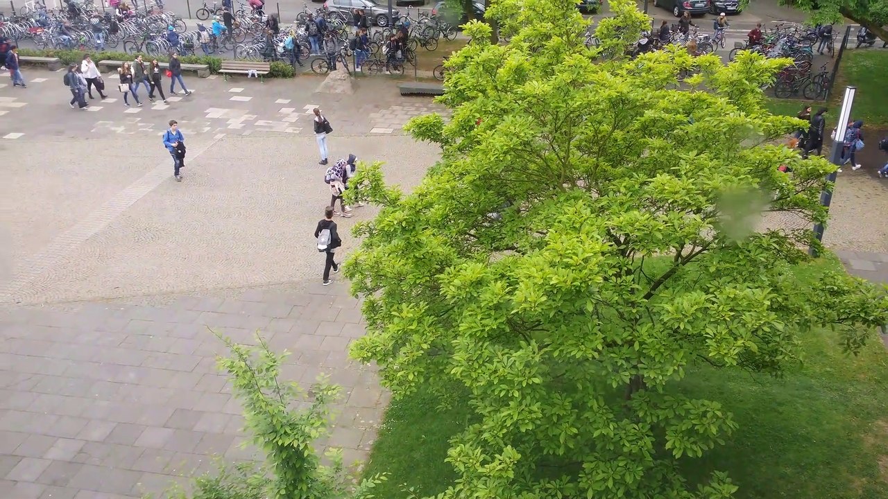 Schulhofwanderung bei Schulschluss