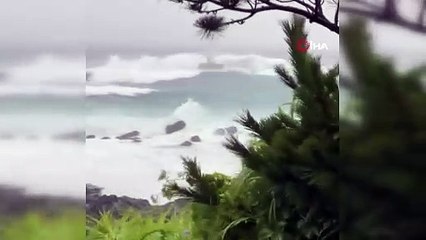 Japonya'da Meari Tayfunu alarmı