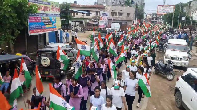 दौसा. देशभक्ति के रंग में रंगे गांव-शहर