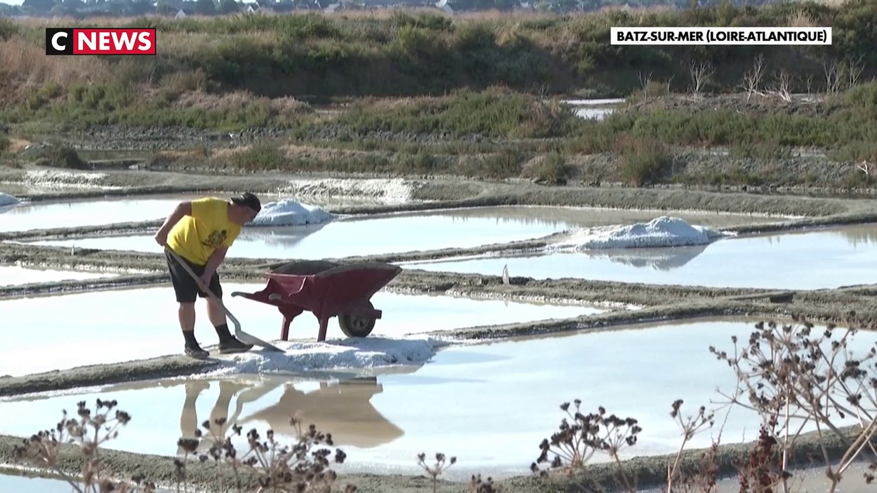 Sècheresse : Du pain béni pour les producteurs de sel