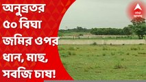Anubrata Mandal: বোলপুরের সিয়ান এলাকায় বড়সড় খামারবাড়ি।কেয়ারটেকারের পরিবারের দাবি, মালিকের নাম অনুব্রত মণ্ডল। Bangla News