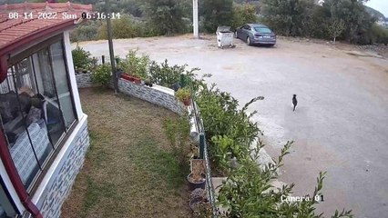 Son dakika haber: İzmir'deki 5 büyüklüğündeki deprem kamerada