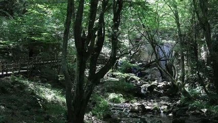 Kırklareli haberi! KIRKLARELİ - Binlerce yarasayı barındıran Dupnisa Mağarası turistlerin ilgi odağı oldu