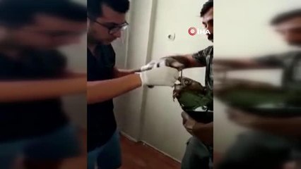 Avladığı yılanı yutamayan kartal fenalaştı