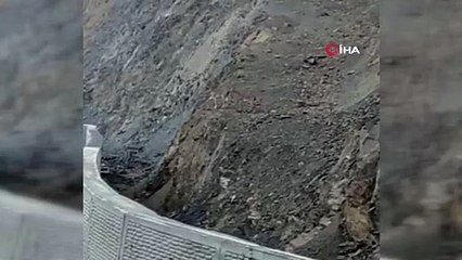 Dağ keçileri kent merkezinde böyle görüntülendi