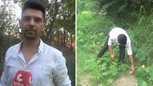 Fen bilgisi öğretmeni Osman Peker, kabak yaprağında 7 çeşit meyve, sebze yetiştirdi