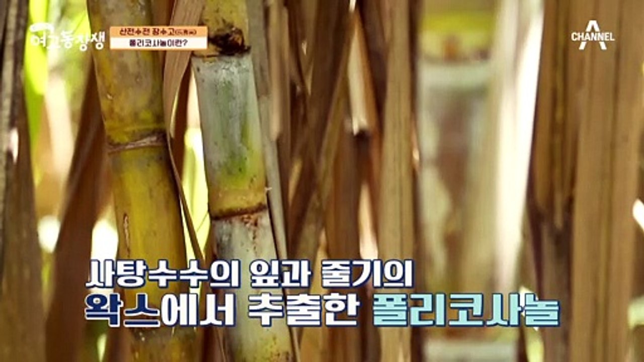 뇌경색에 좋은 이것은? 파프리카와 폴리코사놀★