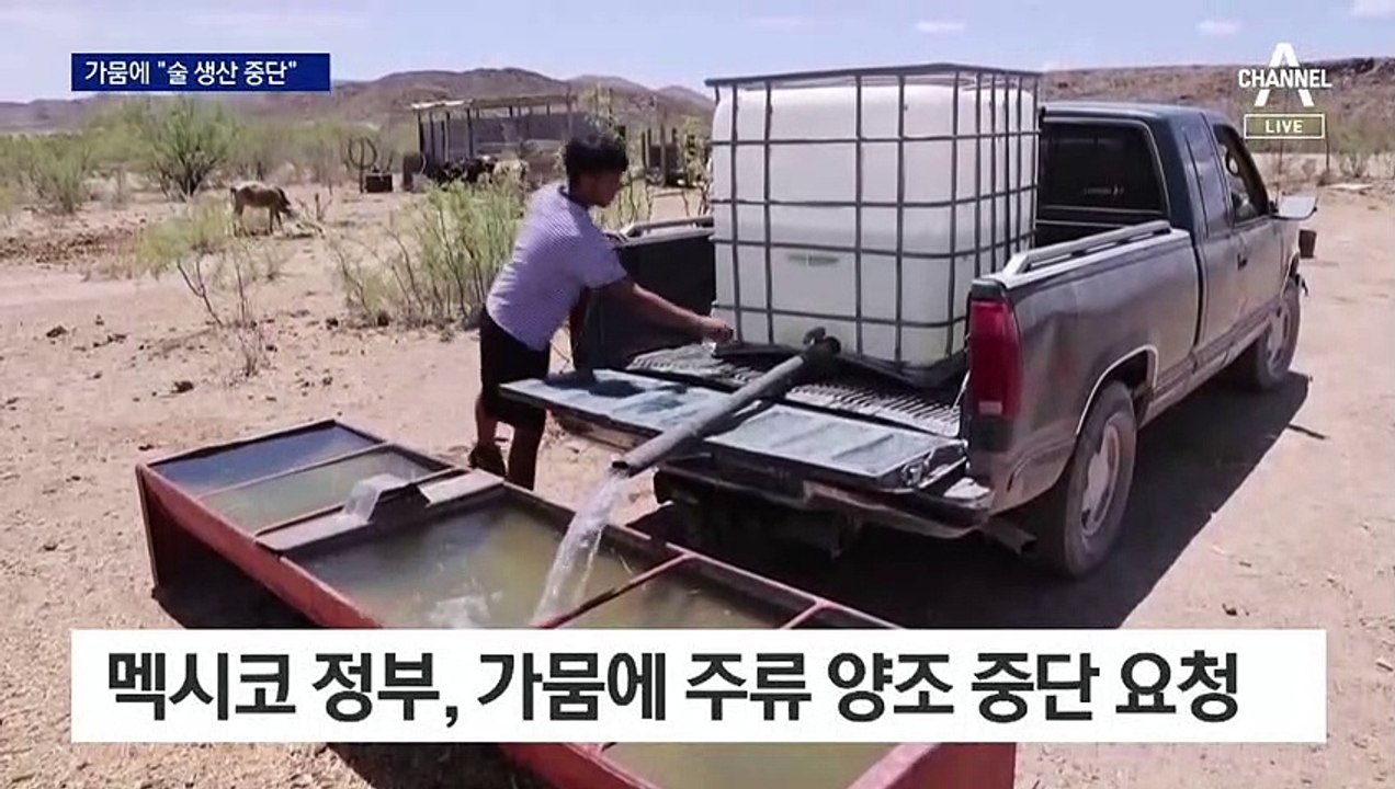 다이아몬드 모양 물체 떴다…UFO 사진 32년 만에 공개