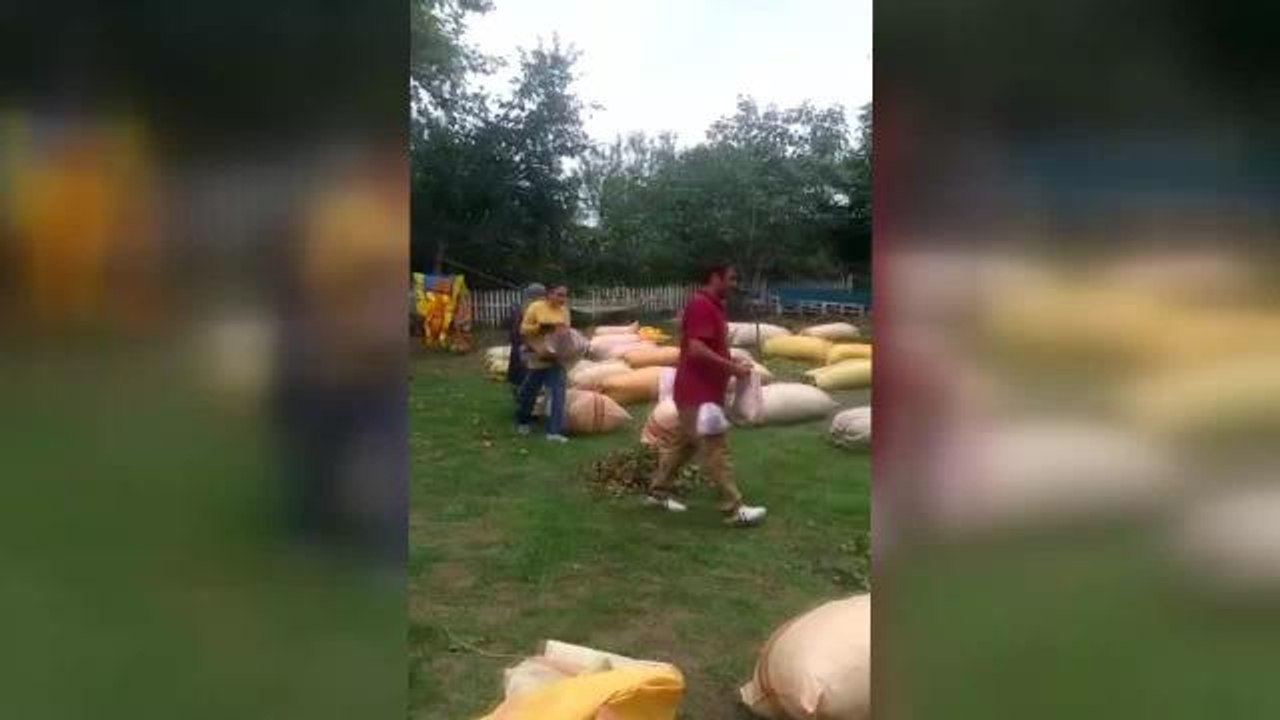 Ordu haberleri! Tüm Köy Sen Ordu Şubesi Başkanı Zekayi Sağra: "Bu Rakamlar Revize Edilmezse Fındık Bahçelerinden Sesimizi Yükselteceğiz"