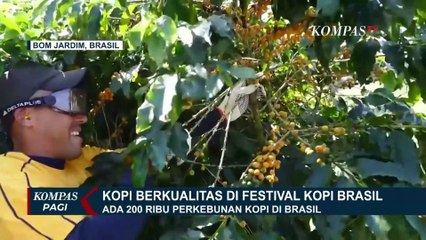 Waw! Intip Serunya Cicipi Kopi Berkualitas di Festival Kopi Brasil