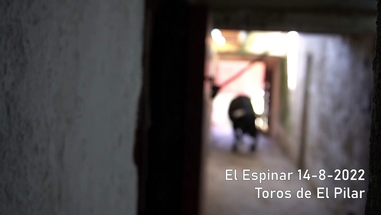 Enchiqueramiento El Espinar 14-8-2022