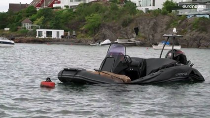 Власти Норвегии усыпили самку моржа Фрею за игры у набережных