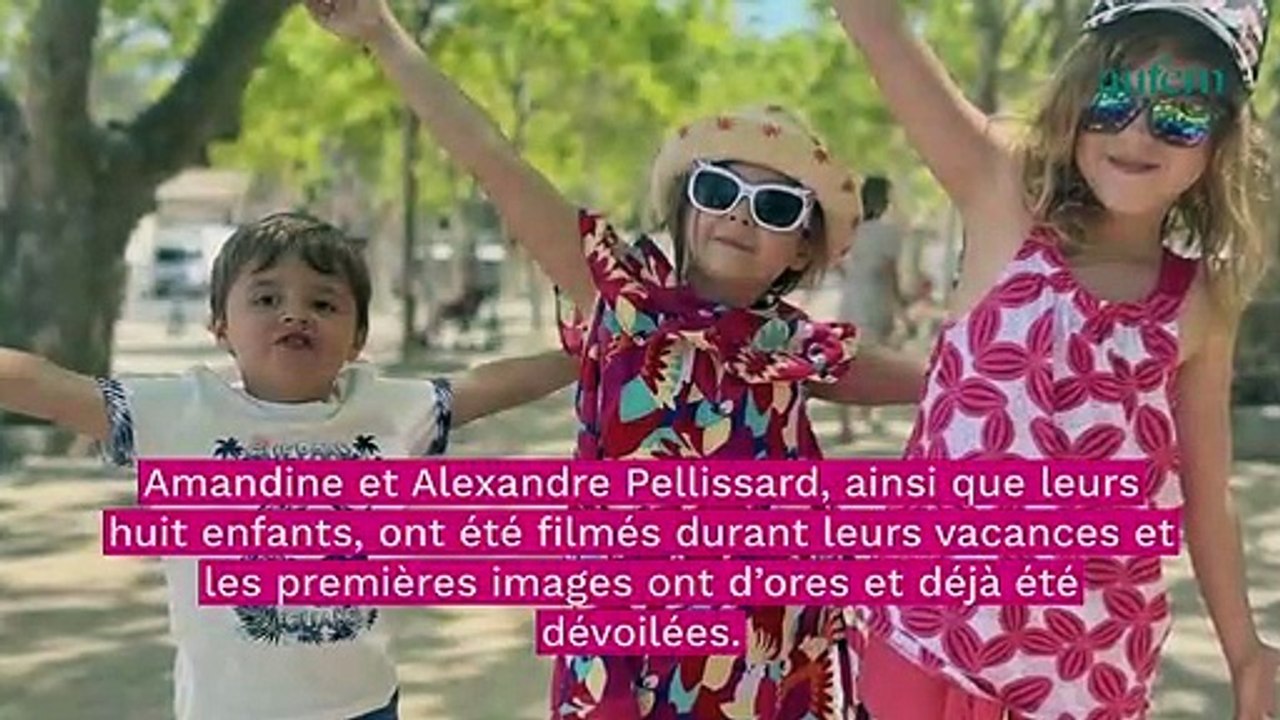 Amandine Pellissard (Familles nombreuses) : “défigurée” par la chirurgie esthétique ? Sa réponse