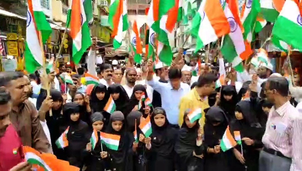 Tricolor rally taken out, distribution of flags...
