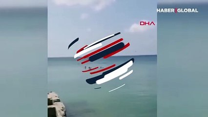 Büyükçekmece'de denize girenlere yunus balıklarından sürpriz!