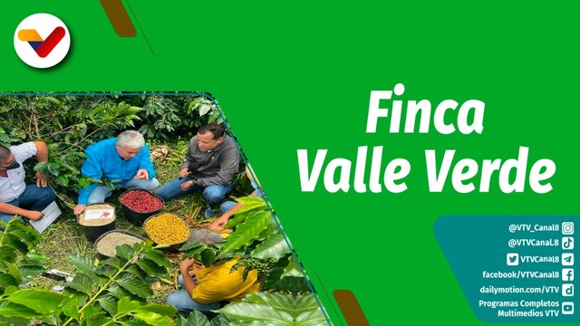 Cultivando Patria | Portuguesa reimpulsa la caficultura de pequeña escala y alto rendimiento