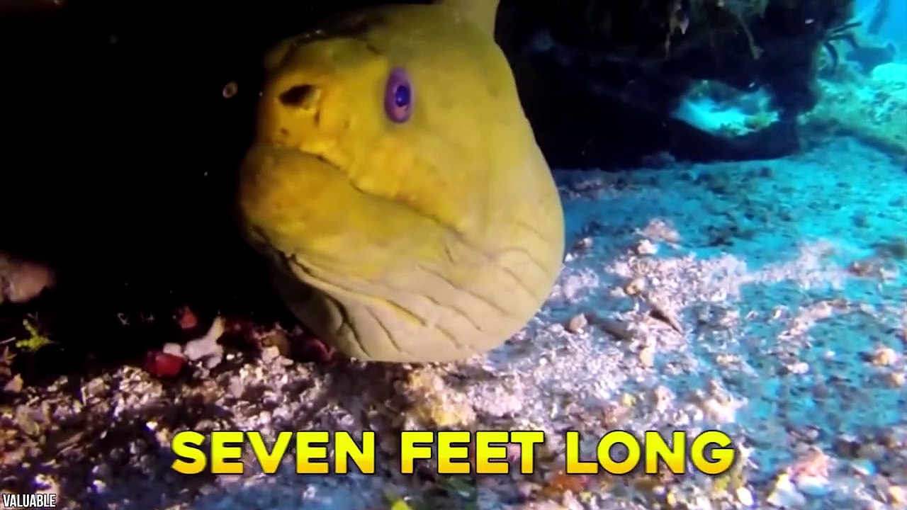 15 Surprising Moments Caught While Fishing