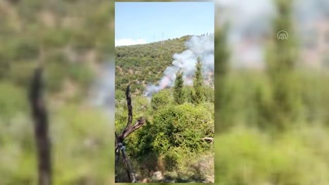 Ormanlık alanda çıkan yangına müdahale ediliyor