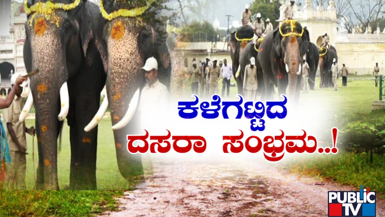 ಸಾಂಸ್ಕೃತಿಕ ನಗರಿಯಲ್ಲಿ ಕಳೆಗಟ್ಟಿದ ದಸರಾ ಸಂಭ್ರಮ..! |Mysuru Dasara | Public TV