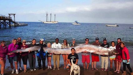 15 Strangest Things Washed Up on Beaches