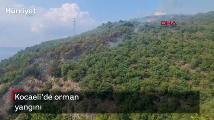 Kocaeli'de Karamürsel ilçesinde orman yangını