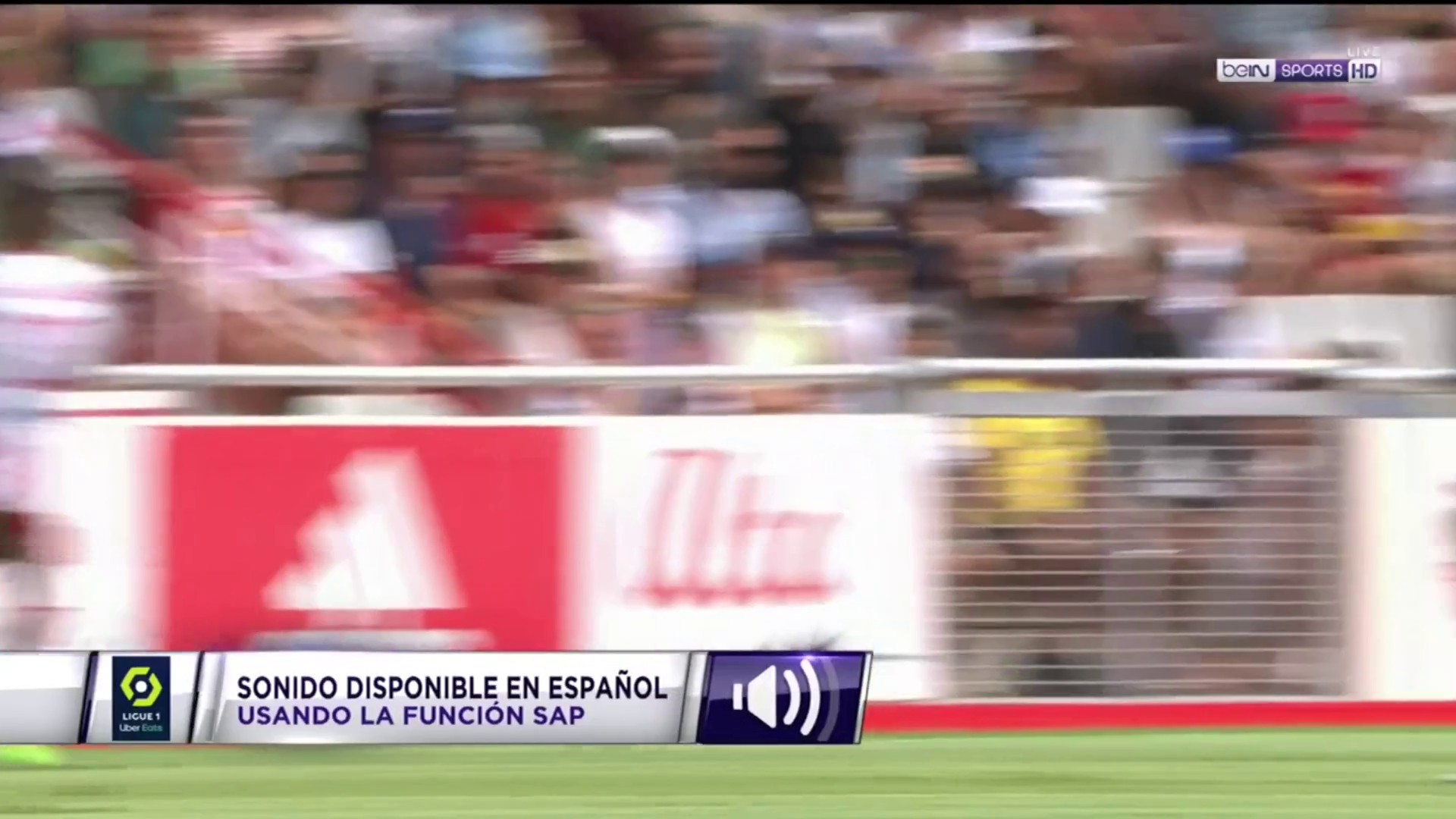 HL Ligue 1 - Ajaccio - Lens in English